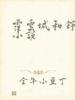 霍云城和舒情的小说