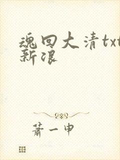 魂回大清txt新浪