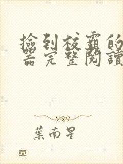 捡到校霸的控制器完整阅读