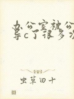 办公室被公司领导c了很多次