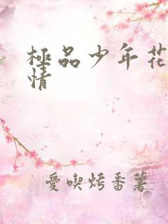 极品少年花都燃情