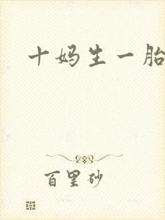 十妈生一胎