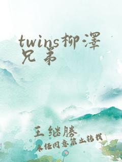 twins柳泽兄弟