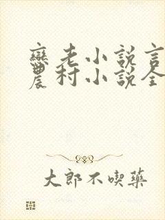 恋老小说言情网农村小说全文阅读