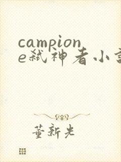 campione弑神者小说