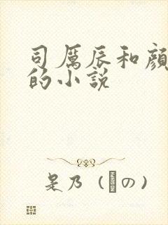 司厉辰和颜辞兮的小说