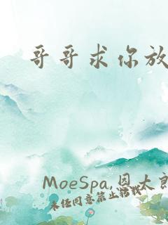 哥哥求你放了我