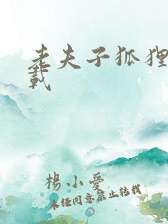 老夫子狐狸仙下载