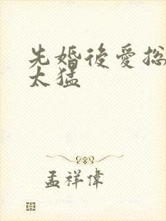 先婚后爱总裁别太猛