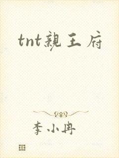 tnt亲王府