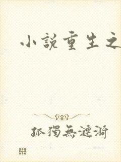 小说重生之官道