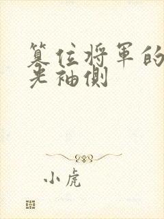 篡位将军的白月光袖侧