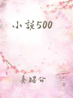 小说500