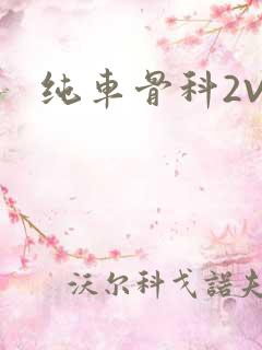 纯车骨科2V1