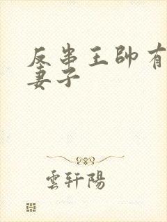 反串王帅有几任妻子