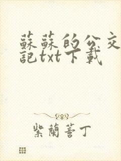 苏苏的公交车日记txt下载