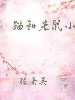 猫和老鼠小说