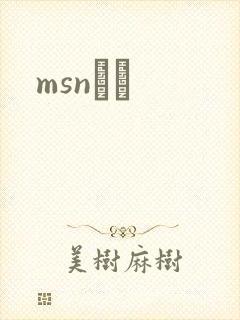 msnС˵