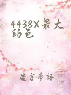 4438X最大的色