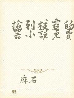 捡到校霸的遥控器小说免费阅读无弹窗