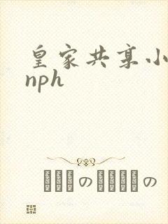 皇家共享小公主nph