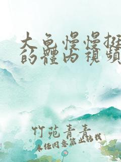 大龟慢慢挺进我的体内视频