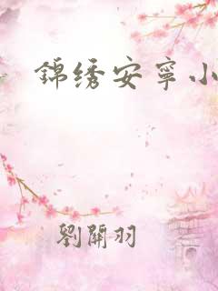 锦绣安宁小说