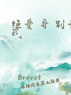 绝爱 哥 别爱我