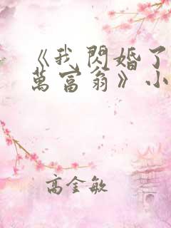 《我闪婚了个亿万富翁》小说