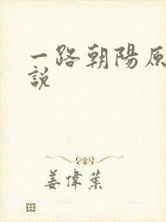 一路朝阳原著小说