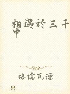 相遇于三千肉文中