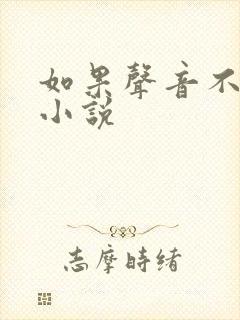 如果声音不记得小说