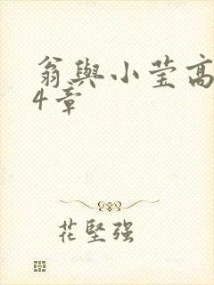 翁与小莹高潮24章