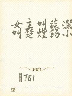 女主叫苏澜男主叫楚煜的小说