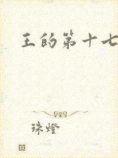 王的第十七妾