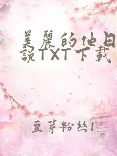 美丽的他日剧小说TXT下载