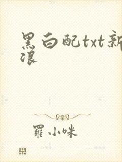 黑白配txt新浪