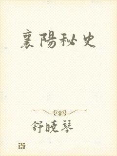 襄阳秘史