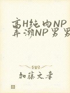 高H纯肉NP 弄潮NP男男