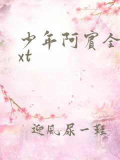 少年阿宾全集txt