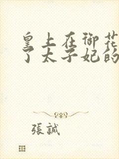 皇上在御花园c了太子妃的网剧