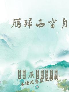 雁归西窗月小说