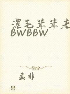 浓毛茸茸老太BBWBBW