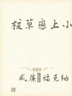 校草恋上小丫头