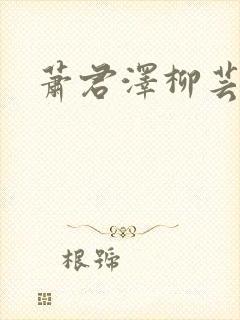 萧君泽柳芸小说