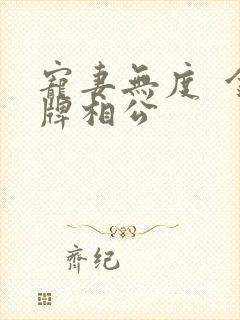 宠妻无度  金牌相公