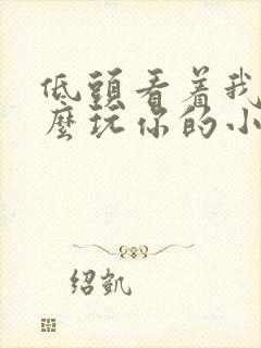 低头看着我是怎么玩你的小说