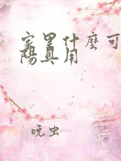 家里什么可以当阳具用