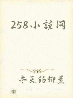 258小说网