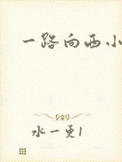 一路向西小说